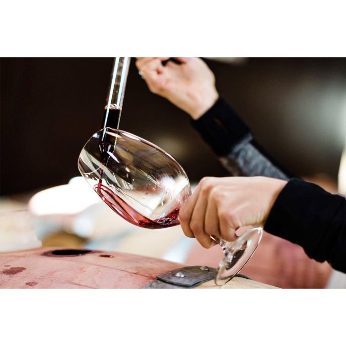 An Evening of Italian Wines
