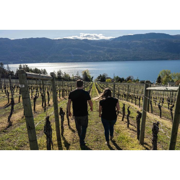 The Gray Monk Estate Tour