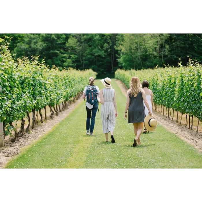 The Organic Vineyard Stroll