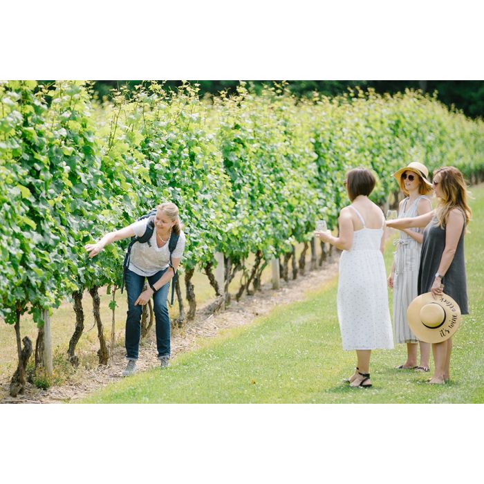 The Organic Vineyard Stroll