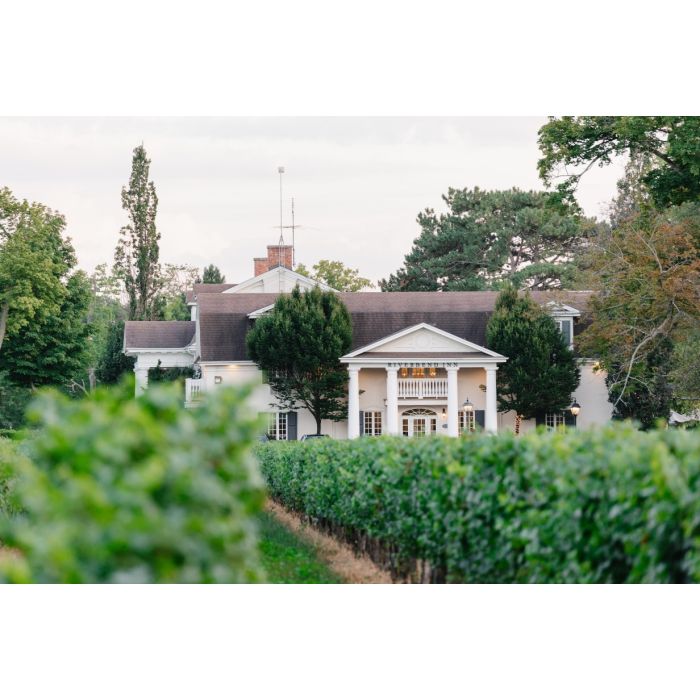 Riverbend Inn Presents: Movie Night in the Vineyard