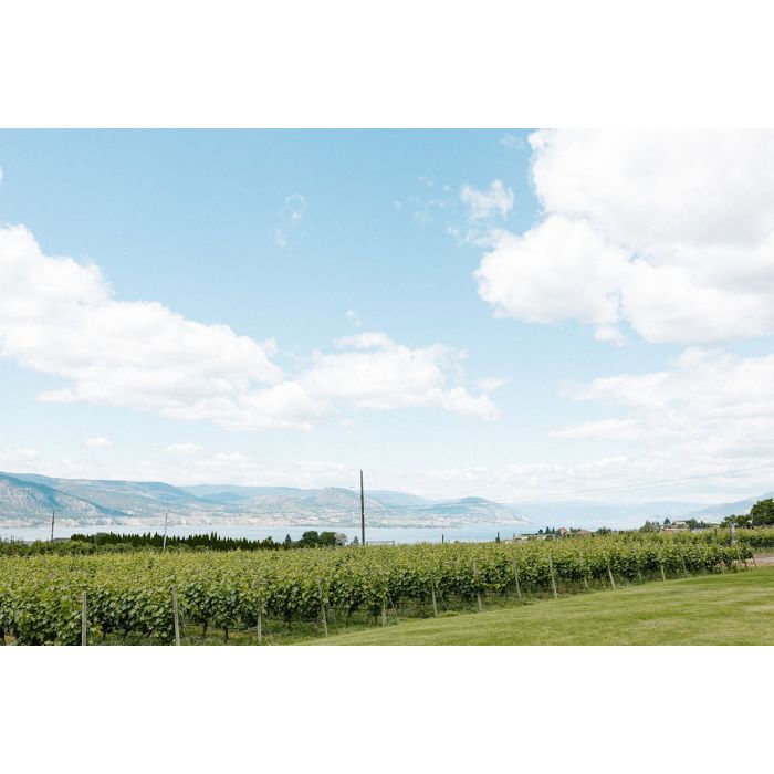 Black Glass Tasting Experience: Love at First Flight