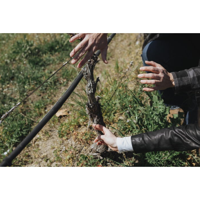 Roots to Roost Estate Tour