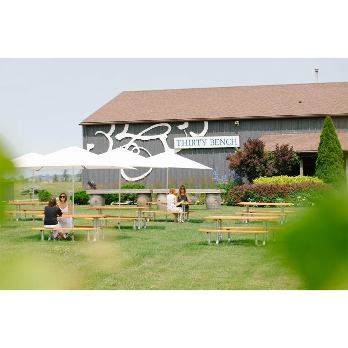 The Vineyard Collection by The Watering Can at Thirty Bench