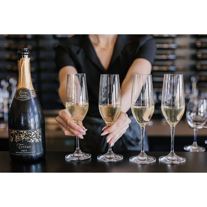Seated Tasting Experience at Trius Winery