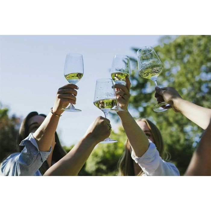 Wine Fest 2026