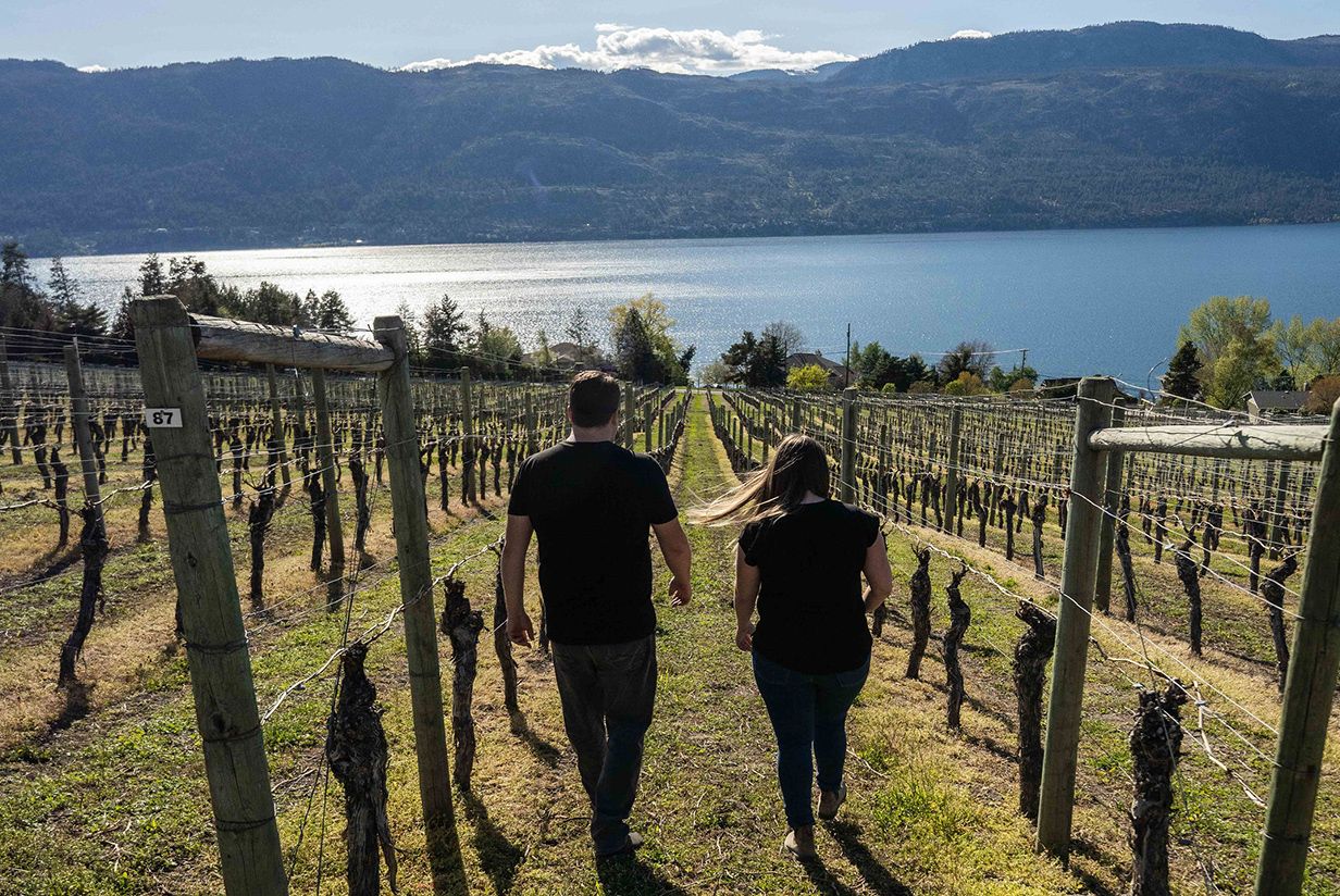 The Gray Monk Estate Tour