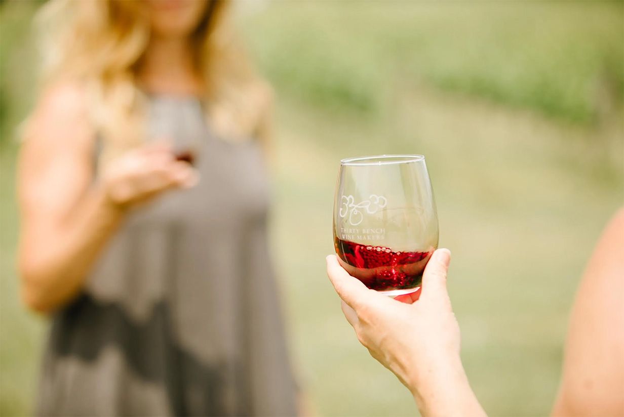 The Organic Vineyard Stroll