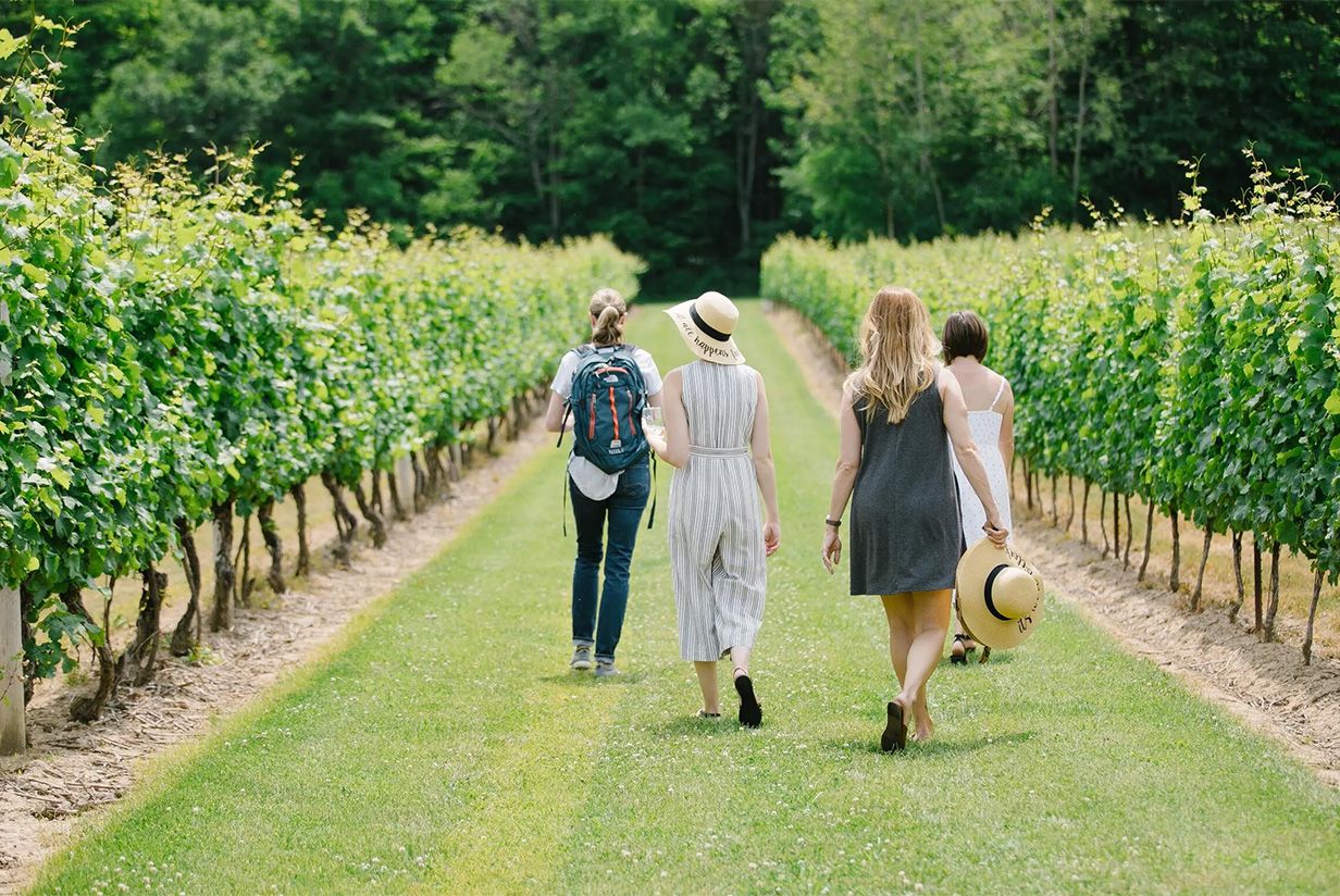 The Organic Vineyard Stroll