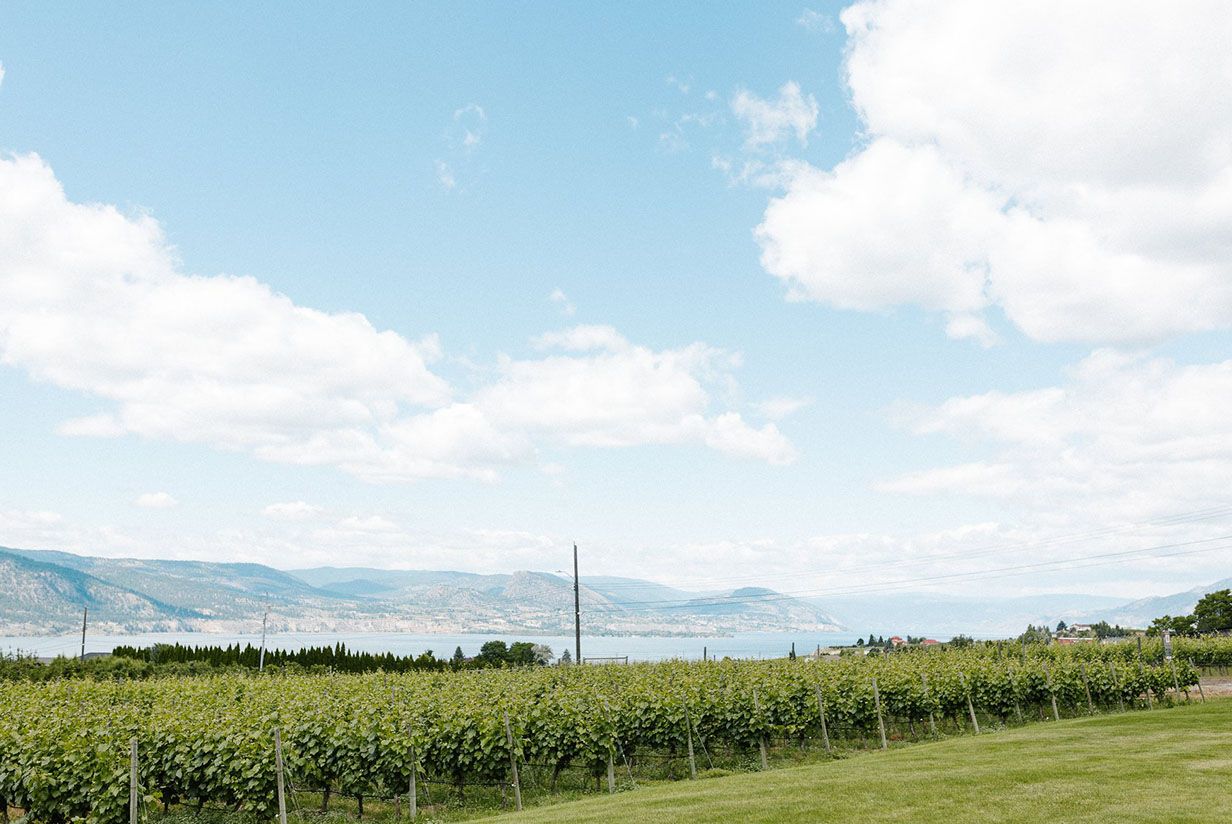 Black Glass Tasting Experience: Love at First Flight