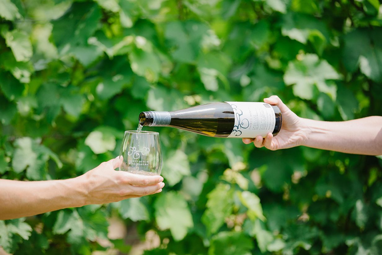 Thirty Bench Club Members Appreciation: Vineyard Stroll with Emma Garner