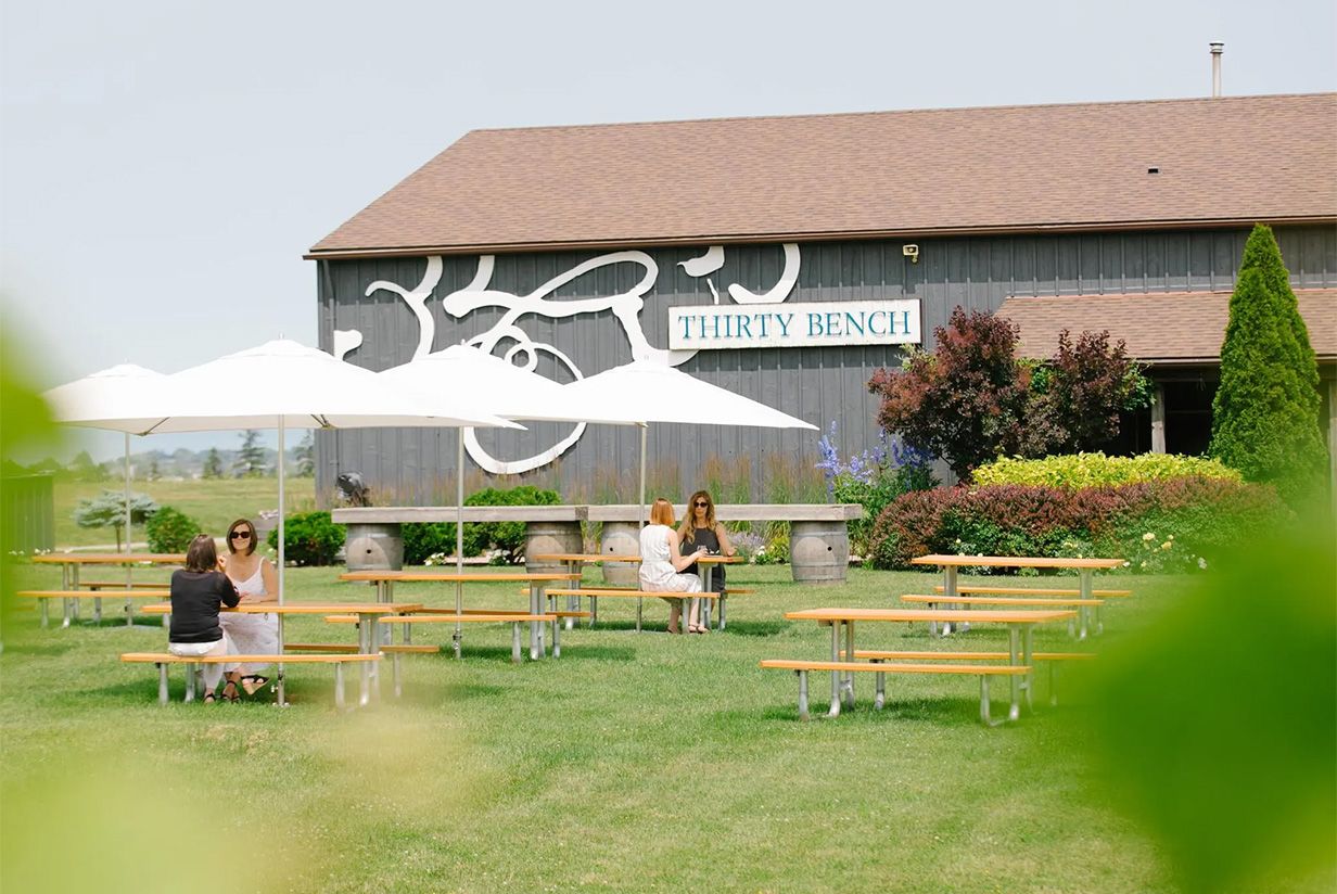 The Vineyard Collection by The Watering Can at Thirty Bench