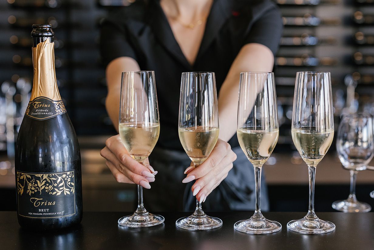 Seated Tasting Experience at Trius Winery