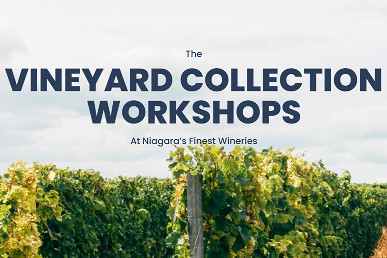 The Vineyard Collection by The Watering Can at Thirty Bench