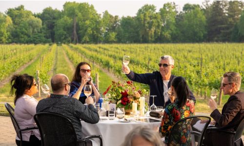 Chardonnay Rendezvous: Lunch in the Vineyard
