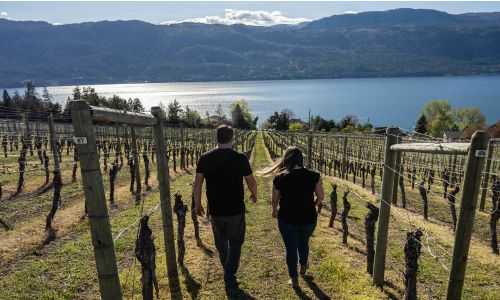 The Gray Monk Estate Tour