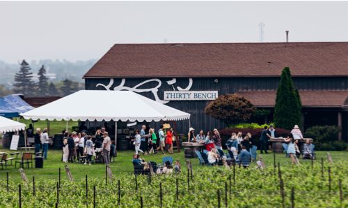 Graze the Bench 2026