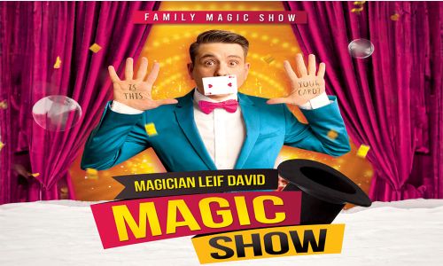 Magician Leif David Stage Show