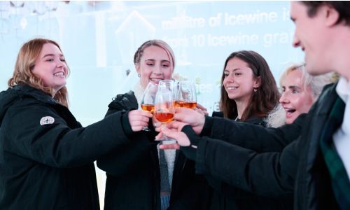 Greatest Winery Tour