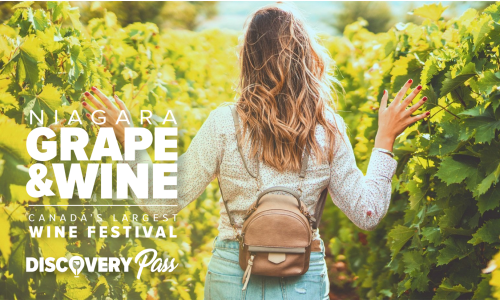 Summer Sippers Discovery Pass 2026