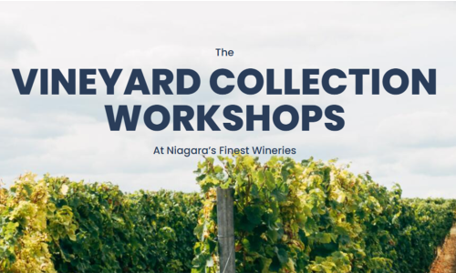 The Vineyard Collection by The Watering Can at Thirty Bench