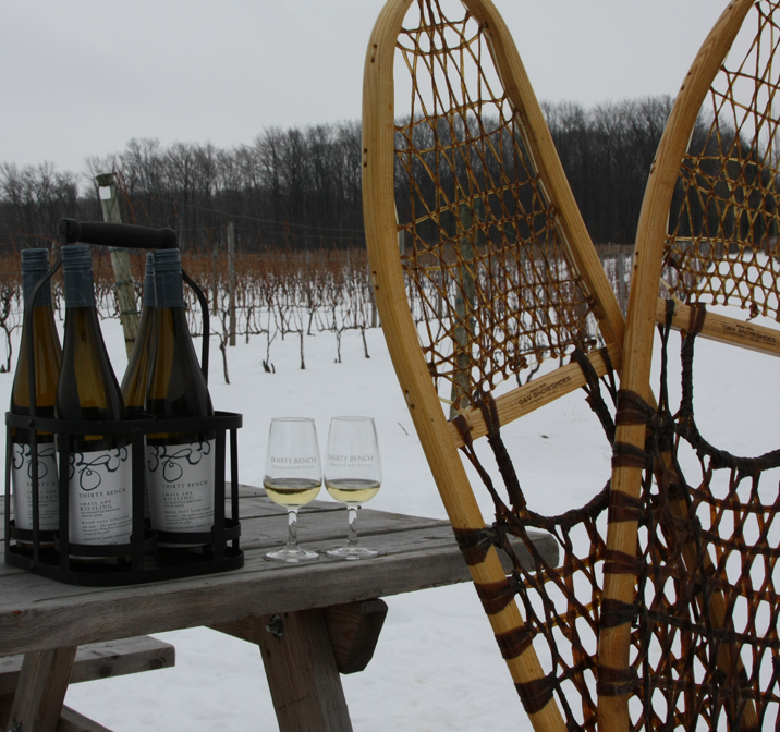 Snowshoe in the Vineyard