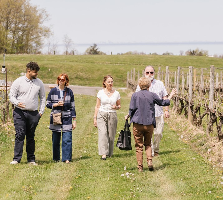 Organic Vineyard Stroll