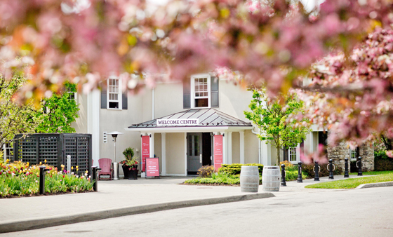 Trius Winery and Restaurant