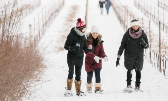Snowshoeing & Winter Hikes