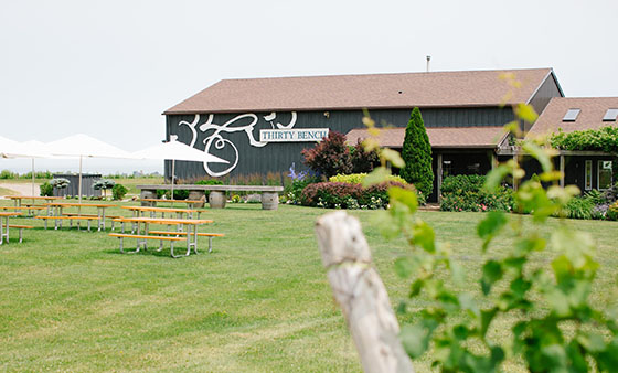 Thirty Bench Wine Makers